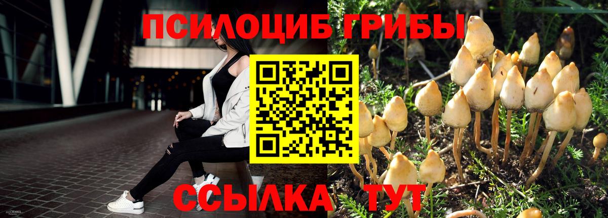 Ревда  Галлюциногенные грибы MAGIC MUSHROOMS  продажа наркотиков  Вход с VPN 